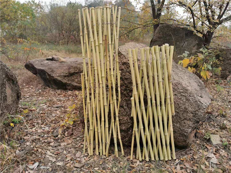 都安瑶族自治竹篱笆绿化护栏木栅栏竹子护栏供应