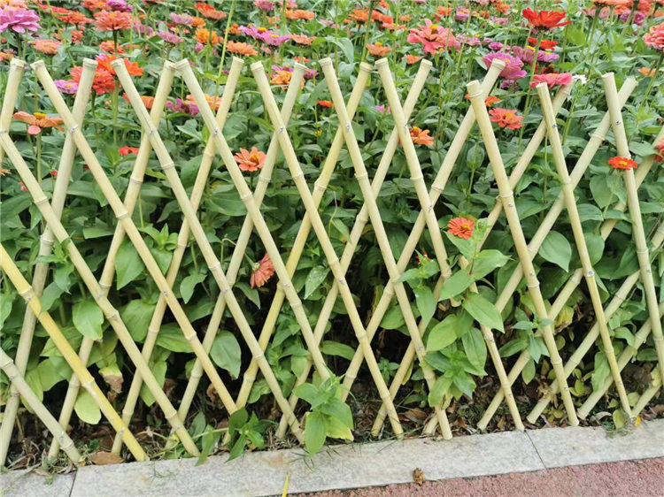 莱西竹篱笆新农村护栏木栅栏竹子护栏价格厂家