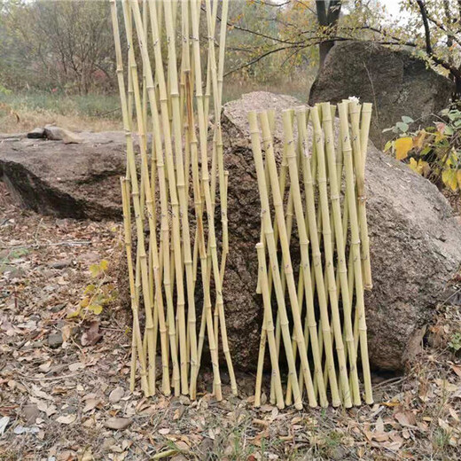 竹篱笆防腐碳化竹片篱笆花园围栏竹护栏竹栅栏生产