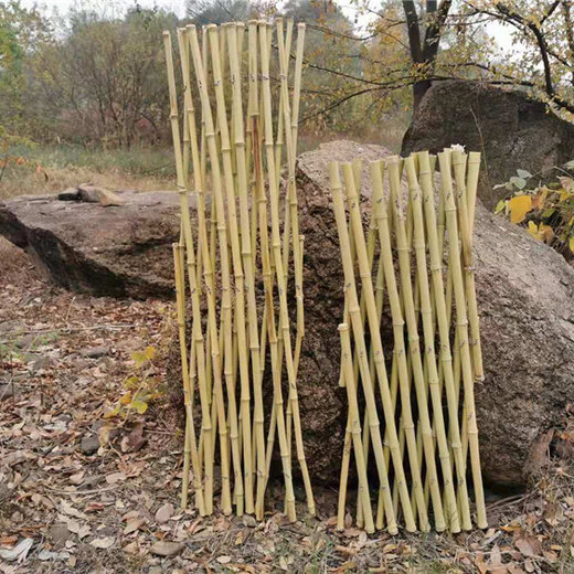 小榄竹篱笆竹护栏竹篱笆竹子护栏大量现货