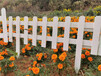 平和竹篱笆碳化竹围栏花园篱笆竹子护栏详情咨询