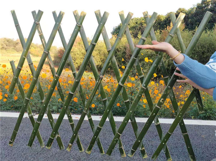 沧州 竹篱笆白色塑料栅栏庭院花园围栏竹护栏 生产