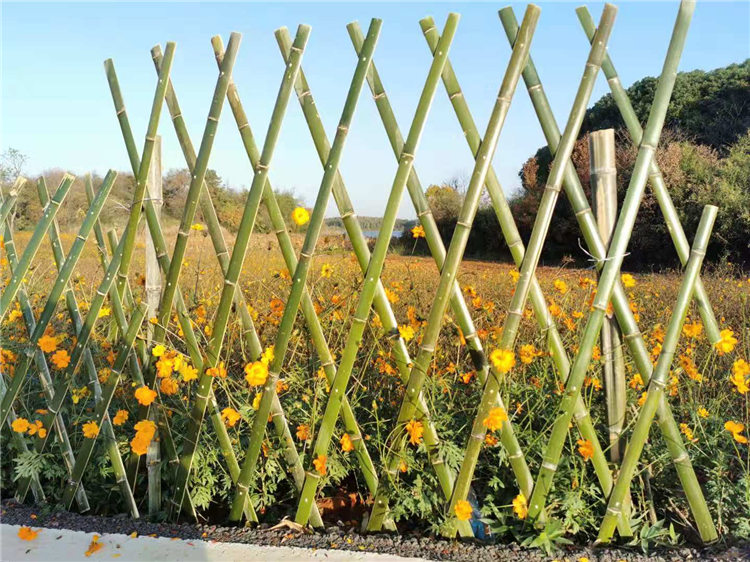 竹篱笆菜地护围栏竹篱笆户外花园围栏竹护栏 竹栅栏生产