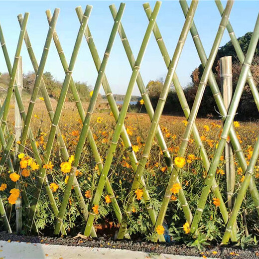 桂阳pvc护栏pvc护栏花园花坛装饰菜园室外竹子塑钢护栏