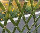 连云港海州区竹篱笆竹笆塑钢护栏图片