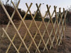 丰泽区竹篱笆碳化竹围栏防腐木护栏竹子护栏当天发货