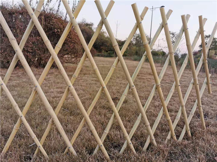 南郊区竹篱笆竹栅栏竹篱笆门竹子护栏价格表
