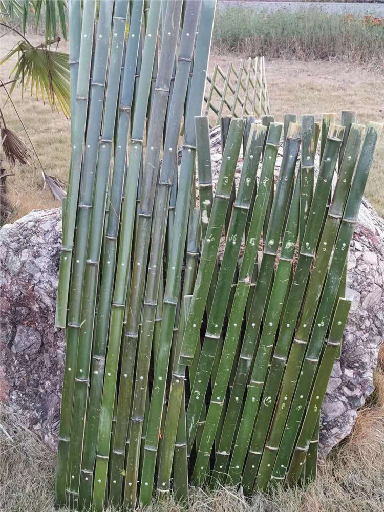 邯郸鸡泽 竹子护栏圃竹篱笆龙子湖区柳条篱笆竹护栏