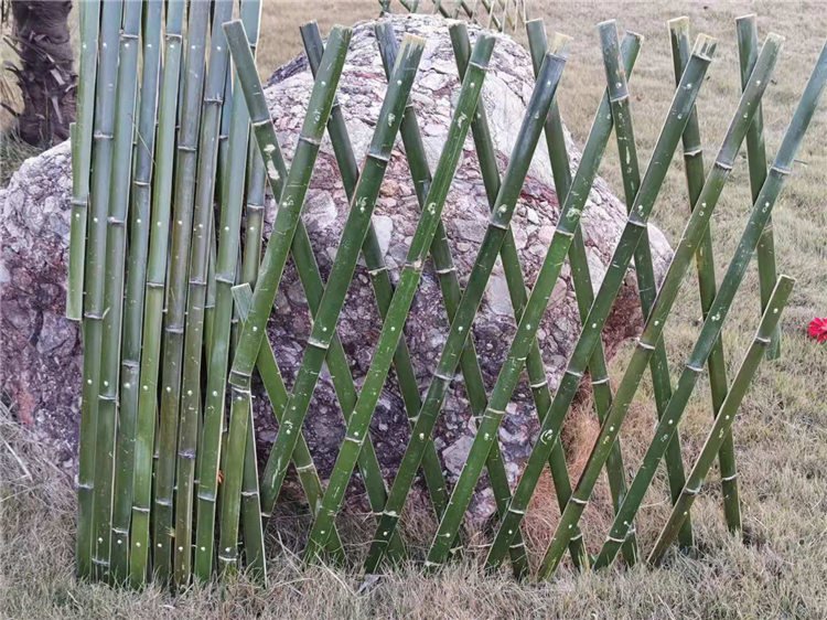 信州区竹篱笆竹子围栏竹篱笆栅栏塑钢护栏好选材用