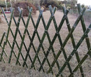 桂东竹篱笆花园围栏小篱笆塑钢护栏好选材用图片