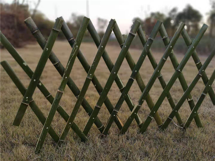 青田竹篱笆竹栅栏竹篱笆栅栏围栏塑钢护栏免费定做