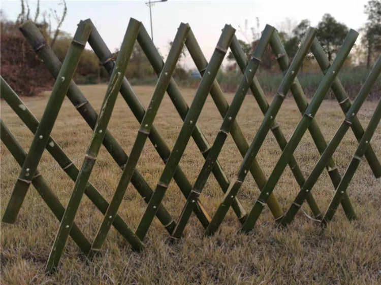 漳浦竹篱笆竹篱笆护栏花园栅栏竹子护栏价格欢迎