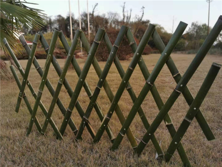 信州区竹篱笆竹子围栏竹篱笆栅栏塑钢护栏好选材用