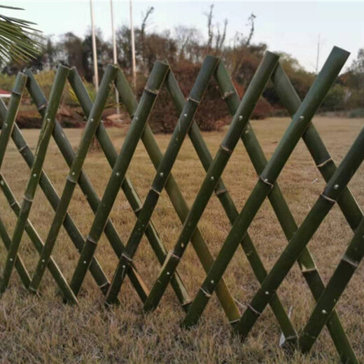 周口竹篱笆木篱笆伸缩紫竹栅栏竹护栏价格