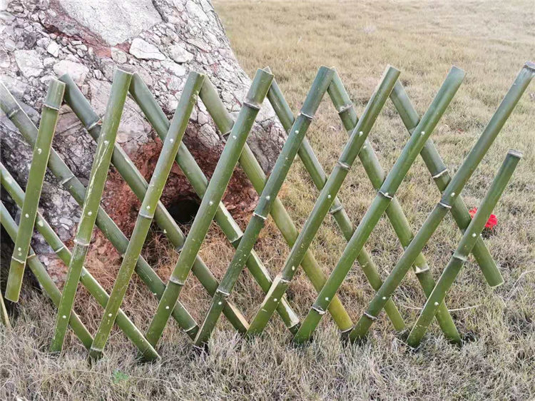彭泽pvc护栏绿化护栏户外伸缩竹篱笆栅栏塑钢护栏