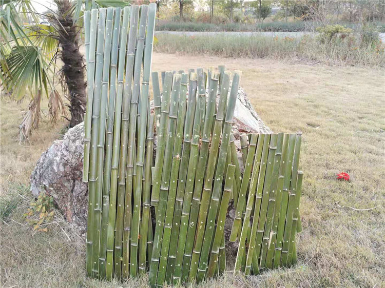蒲县竹篱笆绿化护栏竹子护栏竹子护栏全国供应