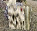 民权pvc护栏pvc庭院栅栏户外竹篱笆塑钢护栏图片