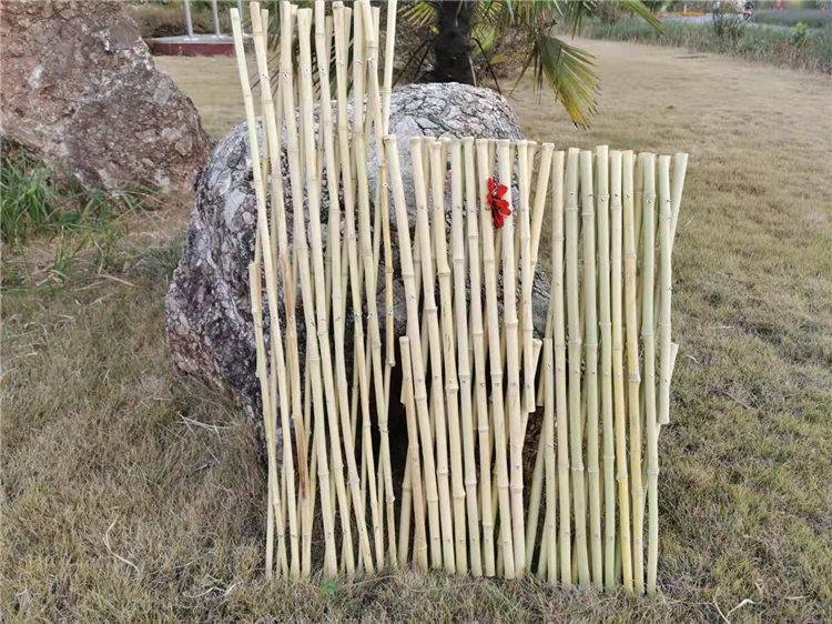 保定定兴 竹护栏竹笆蜀山木围栏竹栅栏