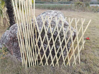 沅陵竹篱笆围墙护栏塑木围栏杆料塑钢护栏价格低图片4