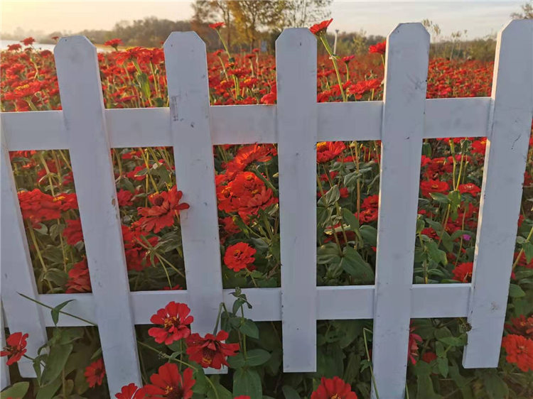 四平 竹篱笆塑料篱笆围栏庭院装饰隔断竹护栏 价格