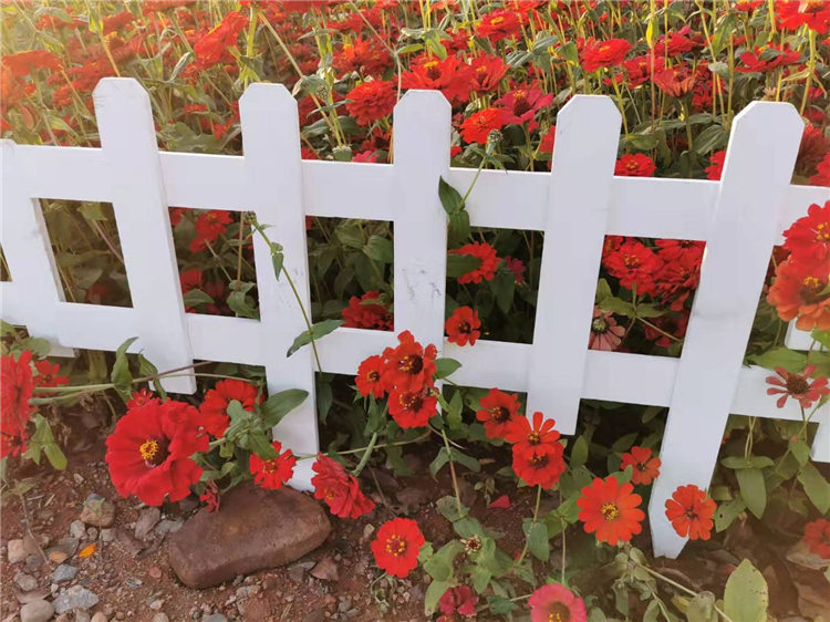 龙陵pvc护栏圃竹篱笆菜园围栏墙塑钢护栏