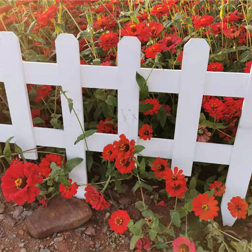 遂平竹篱笆篱笆围栏户外花园围栏塑钢护栏质量好