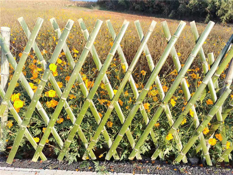 宁化竹篱笆花园篱笆防腐木栅栏围栏塑钢护栏现货销售