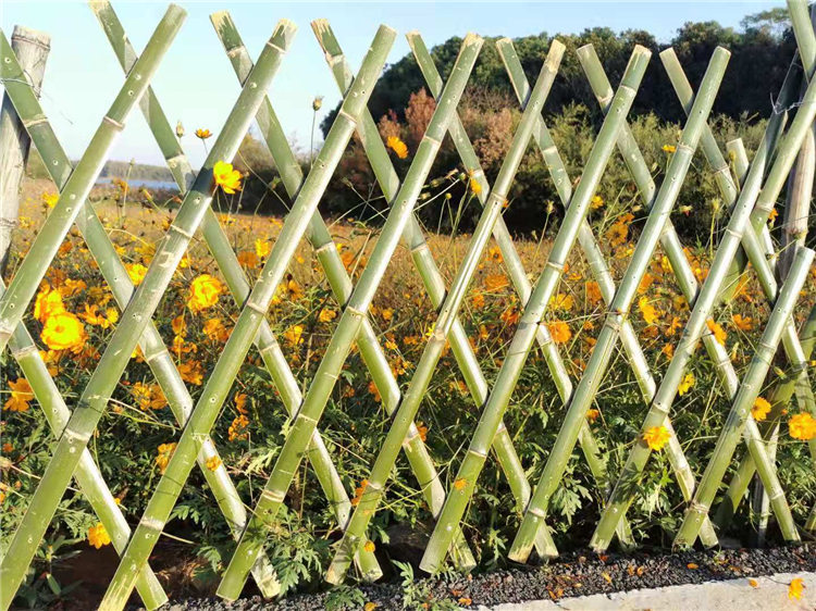 塘厦镇竹篱笆竹子篱笆墙绿化栏杆围栏塑钢护栏需要请点击