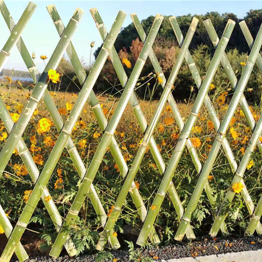赣州定南竹篱笆碳化竹护栏竹篱笆户外花园围栏pvc护栏2020年厂家供应