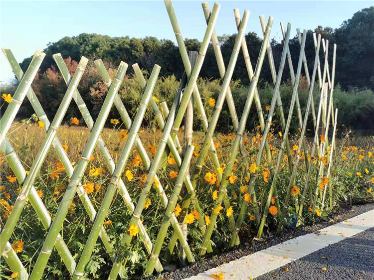 竹篱笆篱笆围栏伸缩碳化木护栏竹护栏 竹栅栏厂家电话