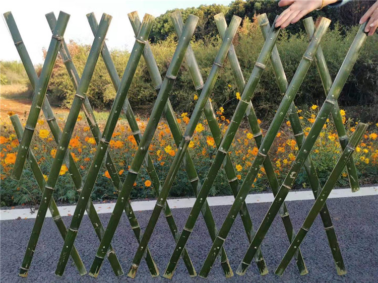 南阳方城竹篱笆仿竹篱笆PVC护栏pvc护栏价格