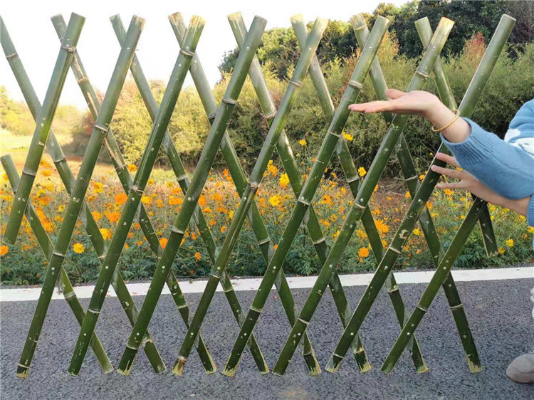 洛龙竹篱笆竹片围栏竹篱笆户外花园围栏塑钢护栏大自然的搬运工