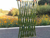 官渡pvc护栏花池白色塑料竹片篱笆塑钢护栏