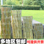 邵武市竹子护栏塑料栅栏沿河土家族自治柳篱笆木栅栏图片2