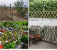 琅琊区竹篱笆竹片围栏菜园使用