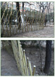 大英竹子护栏竹围栏会东花园装饰围栏木栅栏图片