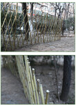 黟县竹子护栏碳化竹围栏柳条篱笆竹护栏的价格图片5