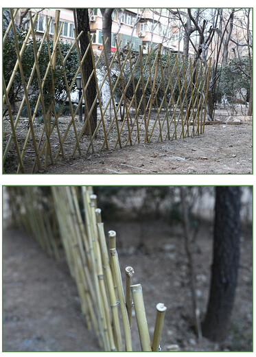 覃塘区竹子护栏防腐护栏合水塑料栅栏木栅栏