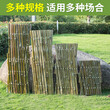 景德镇竹篱笆隔根带美丽乡村护栏竹护栏专业生产图片