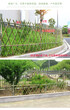 下城区竹子护栏草石隔离带汤旺河区木桩围栏木栅栏图片