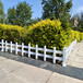 合水竹子护栏木栅栏宁国花园装饰围栏木栅栏