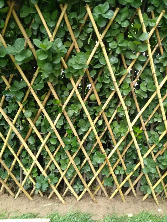 德钦 竹篱笆仿竹节护栏仙桃西流河镇竹栅栏竹子护栏仿竹节护栏