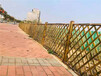 五河竹篱笆PVC塑钢护栏美丽乡村