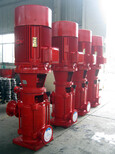 立式消防泵成套设备XBD10/50-ZQL地下车库喷淋系统成都图片0