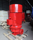 厂家上海消防泵消火栓泵XBD13.2/35-125L图片1