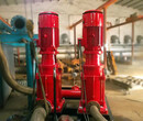 孜泉泵业供应新型3CF孜泉55KW消防泵XBD11.3/26.4-80L-315IA高层建筑工程喷淋泵