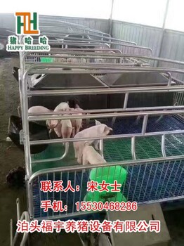 母猪产床又称高培产仔床高培分娩床高床产仔栏有利于母猪生产