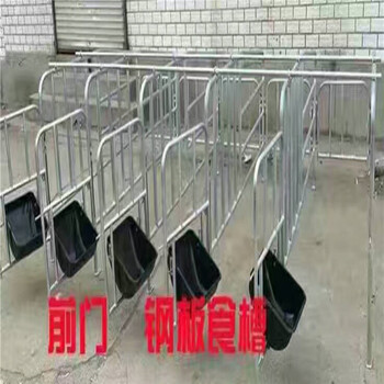 厂家批发十猪位定位栏带食槽管厚2.0母猪定位栏畜牧养猪设备
