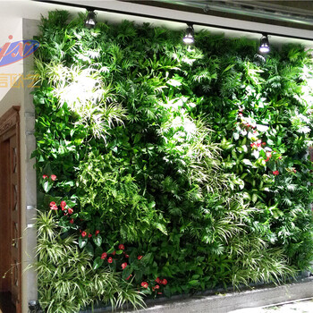 北京植物墙定做室内墙面绿化项目室内植物墙定做金信欧艺