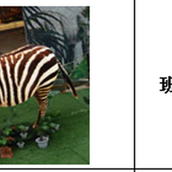 上海大克仿真动物模型1:1定制模型仿真度逼真